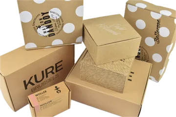 Ekspresna dostava Kutije u Zwijnaarde Belgija